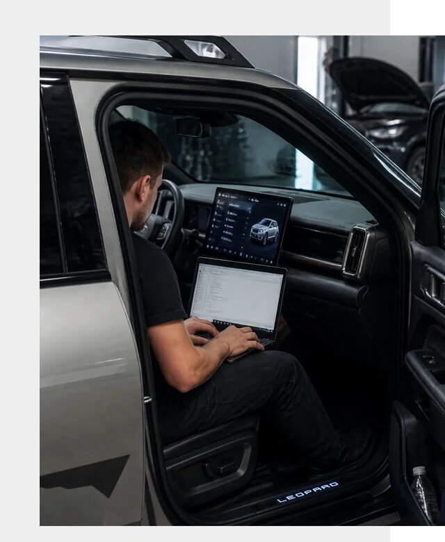 Русификация BYD Leopard 3 в Братске по цене от 20306 р. | ФастМобиль-Брт